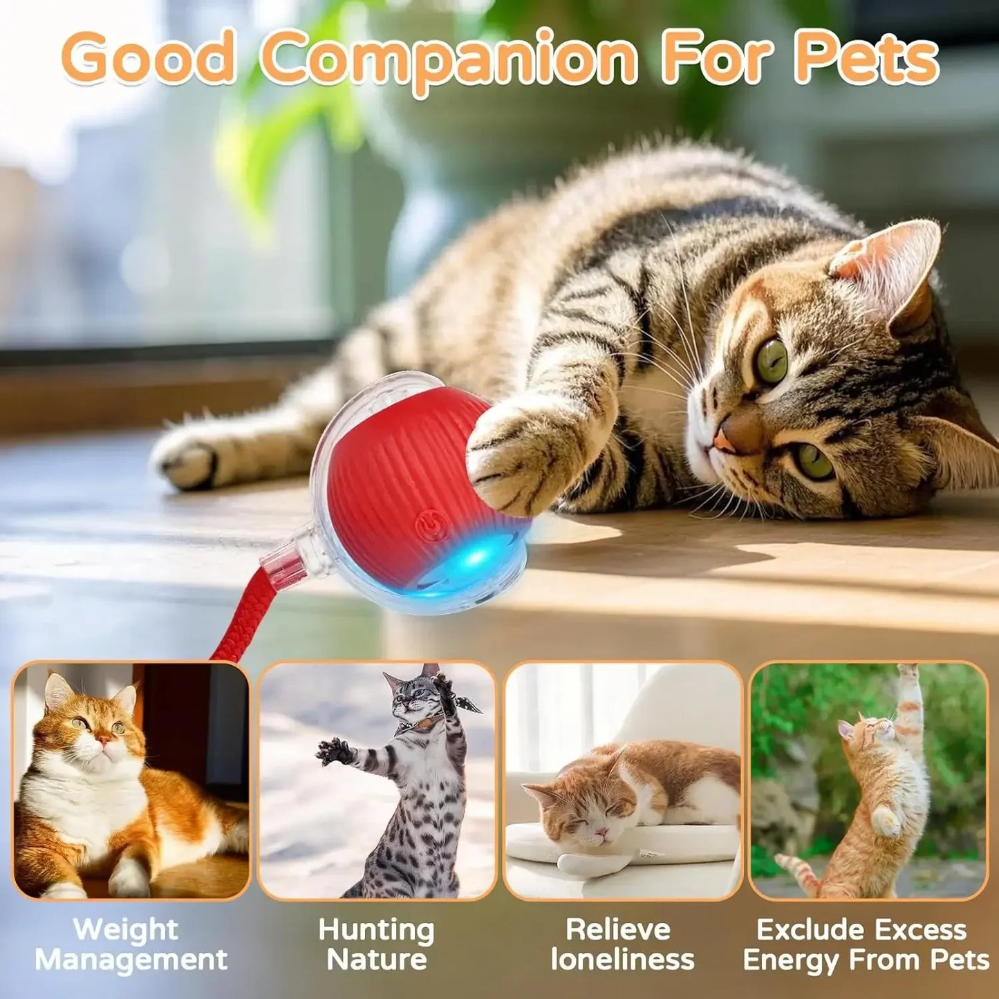Smart Pet Playtime Ball